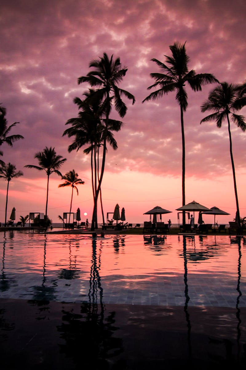 Silhouettes of palm trees at a resort pool during a stunning tropical sunset.
